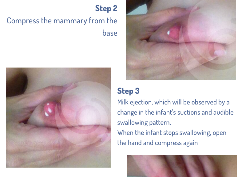 Stages of Nipple Damage - LactApp Medical Lactation