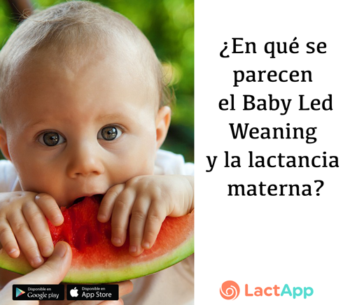 BABY LED WEANING - ACCESORIOS BLW BEBÉS 2024