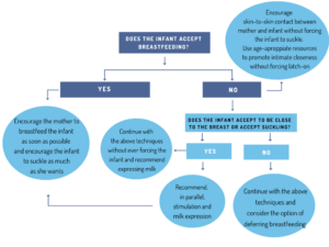 Relactation: restarting breastfeeding after a gap - ABM